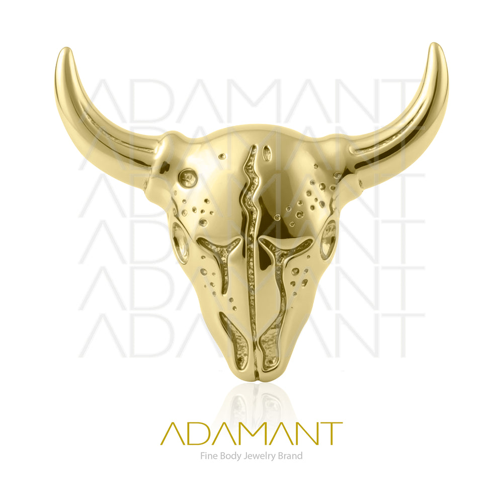 14k Solid Gold, Threadless End, Bullskull.