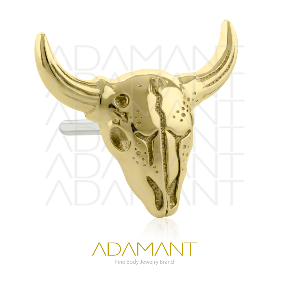14k Solid Gold, Threadless End, Bullskull.