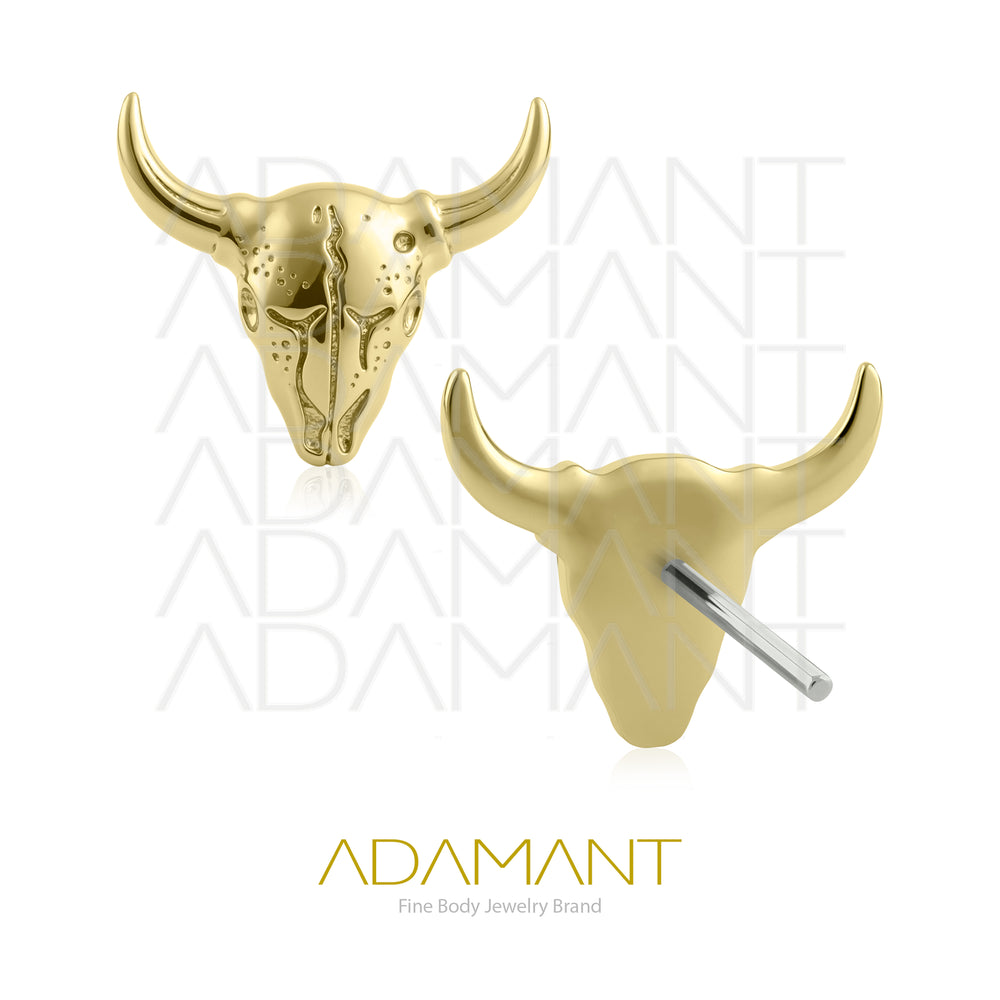 14k Solid Gold, Threadless End, Bullskull.