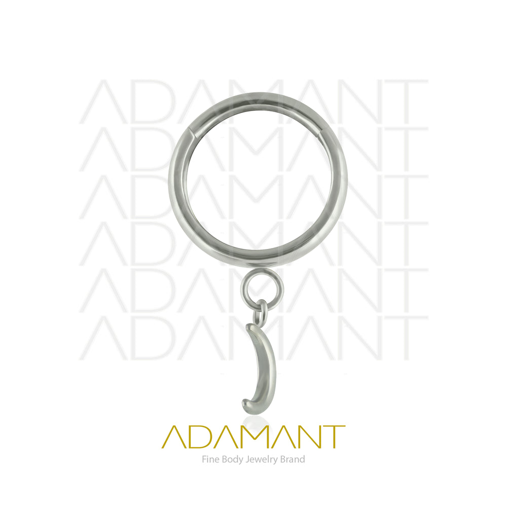 16g, Pair Titanium Dangle Dangle Moon Earrings