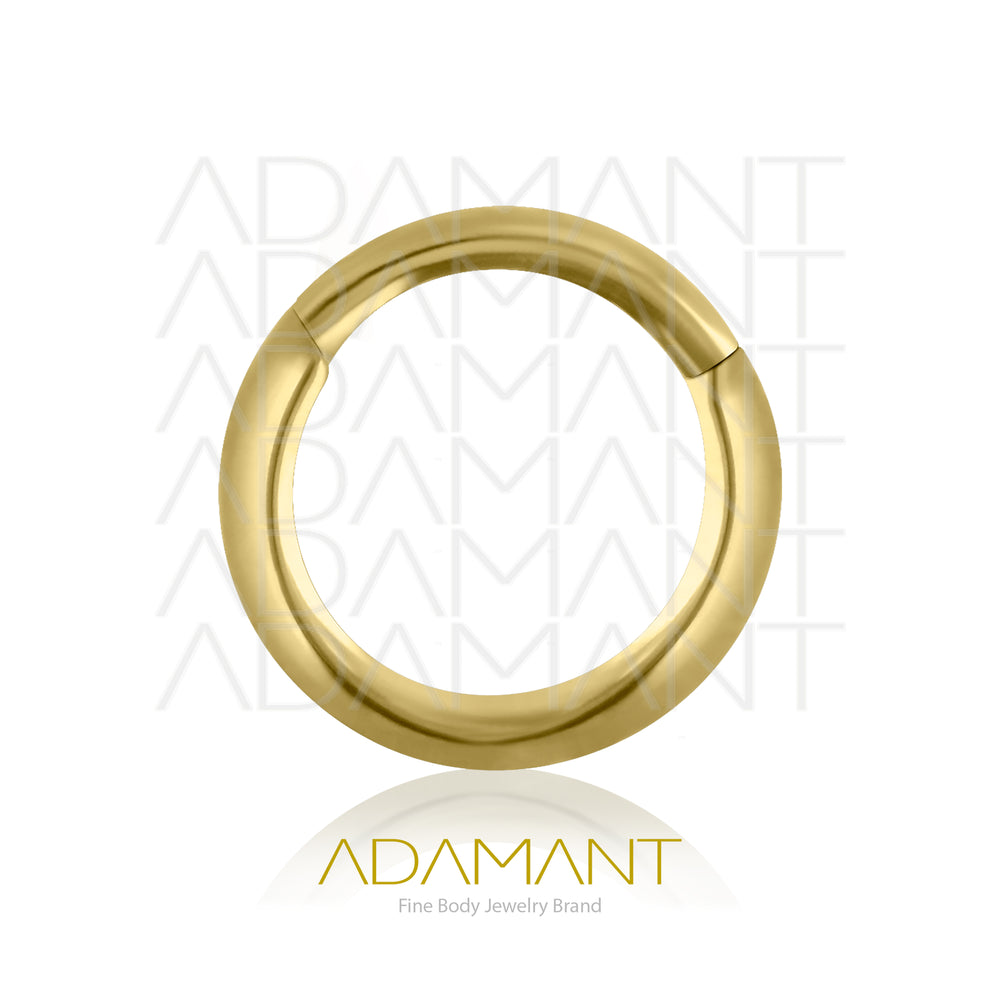 16g, Pair Plated Gold Titanium Rounded Hoop Earrings