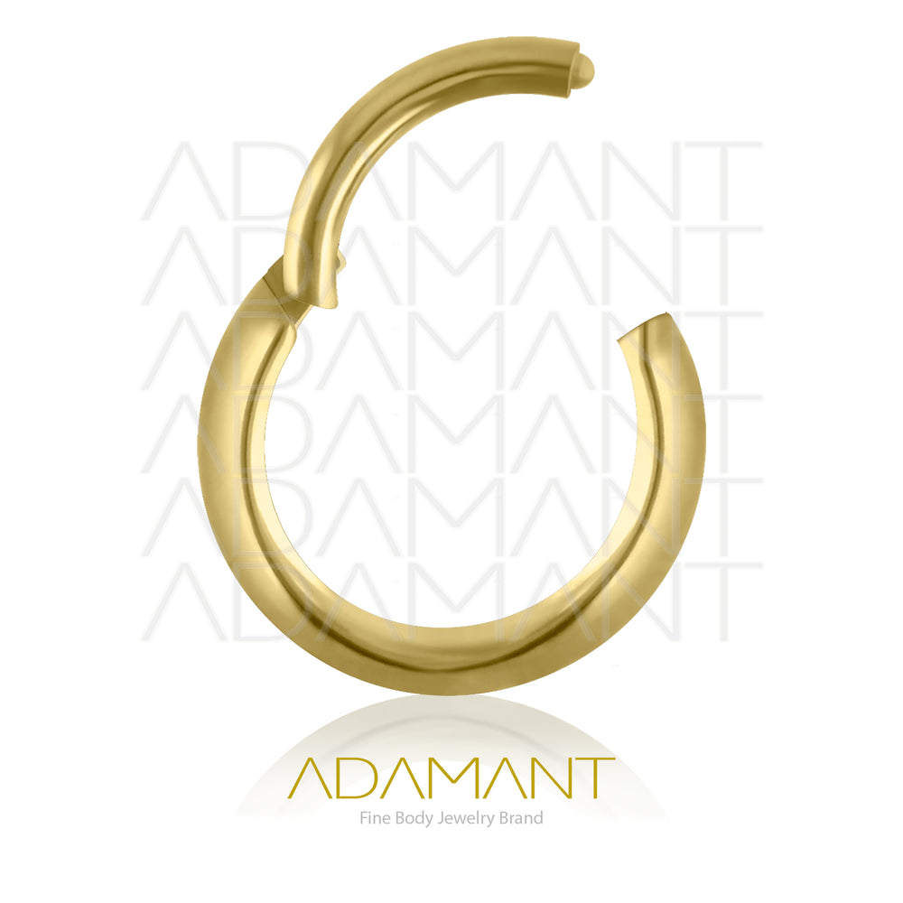 16g, Pair Plated Gold Titanium Rounded Hoop Earrings