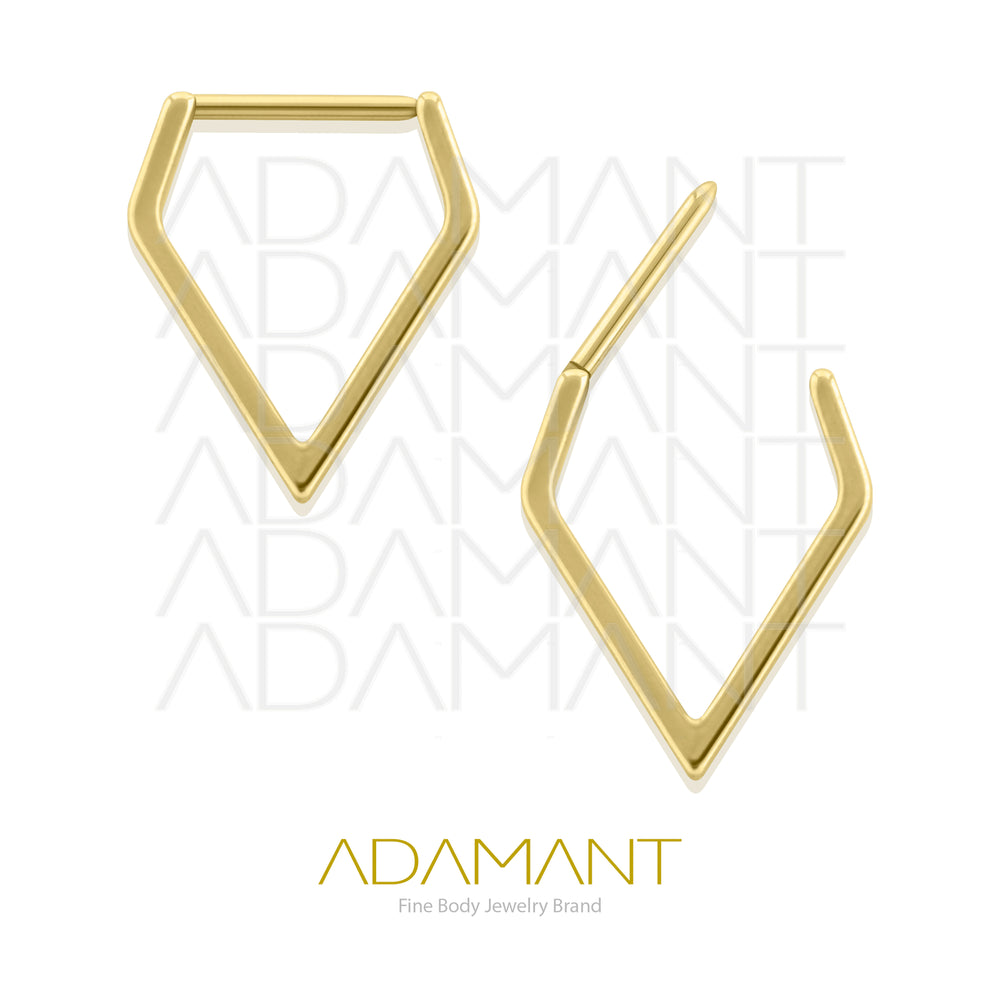 18g, Pair Plated Gold Titanium Diamond Hoop Earrings