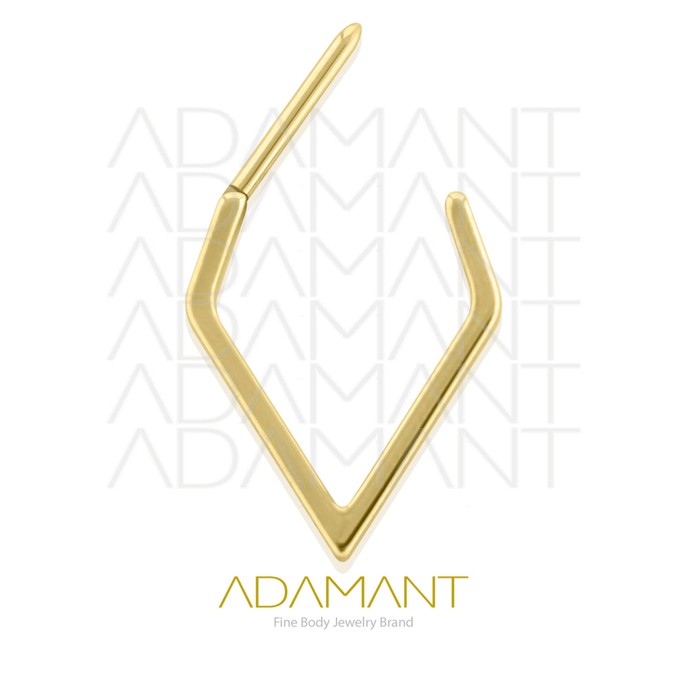 18g, Pair Plated Gold Titanium Diamond Hoop Earrings
