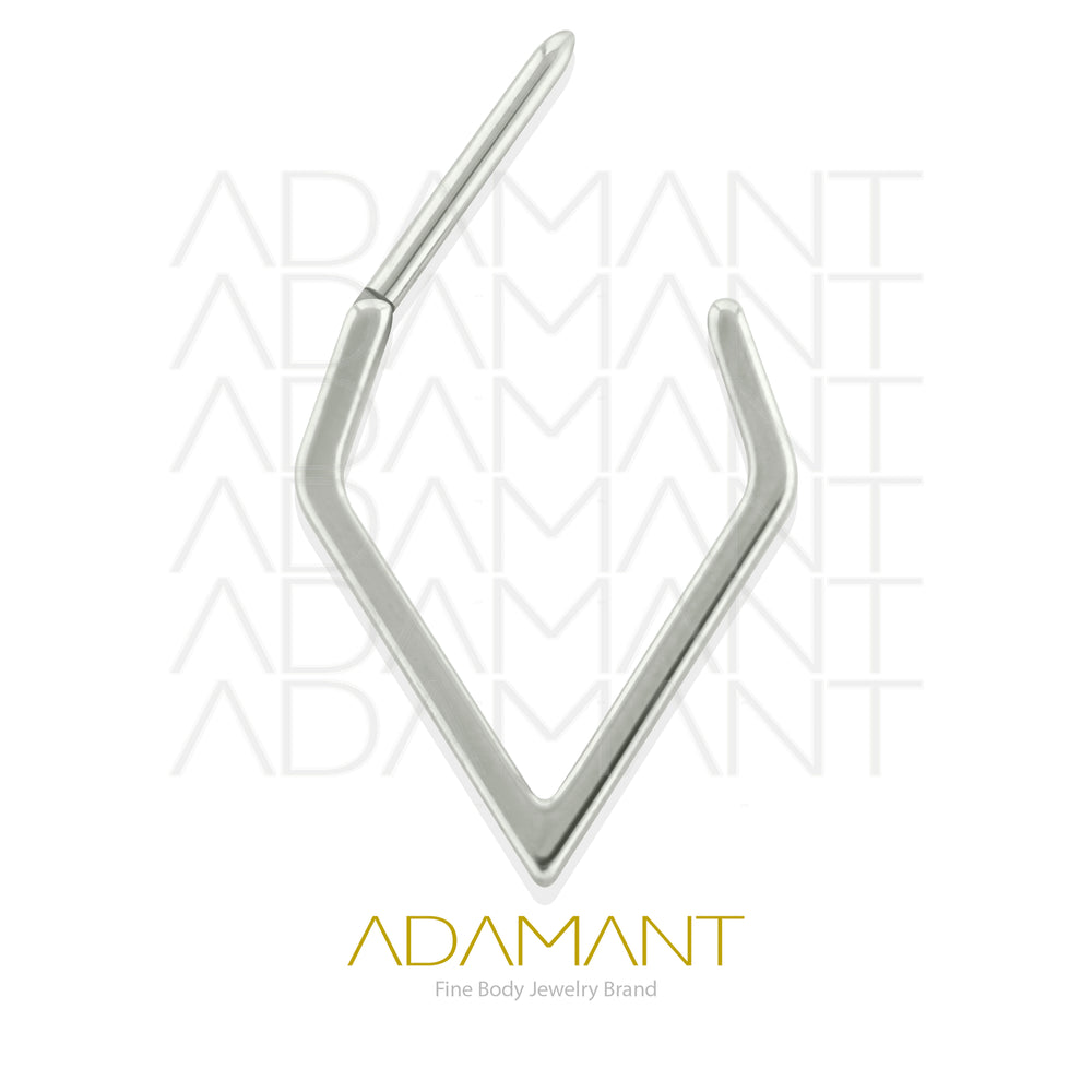 18g, Pair Titanium Diamond Hoop Earrings
