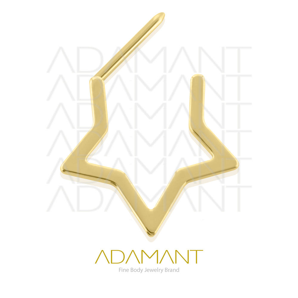 18g, Pair Plated Gold Titanium Star Hoop Earrings