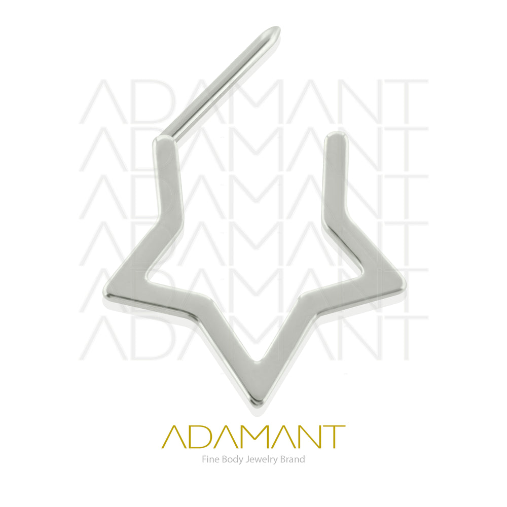 18g, Pair Implant Grade Titanium Star Hoop Earrings