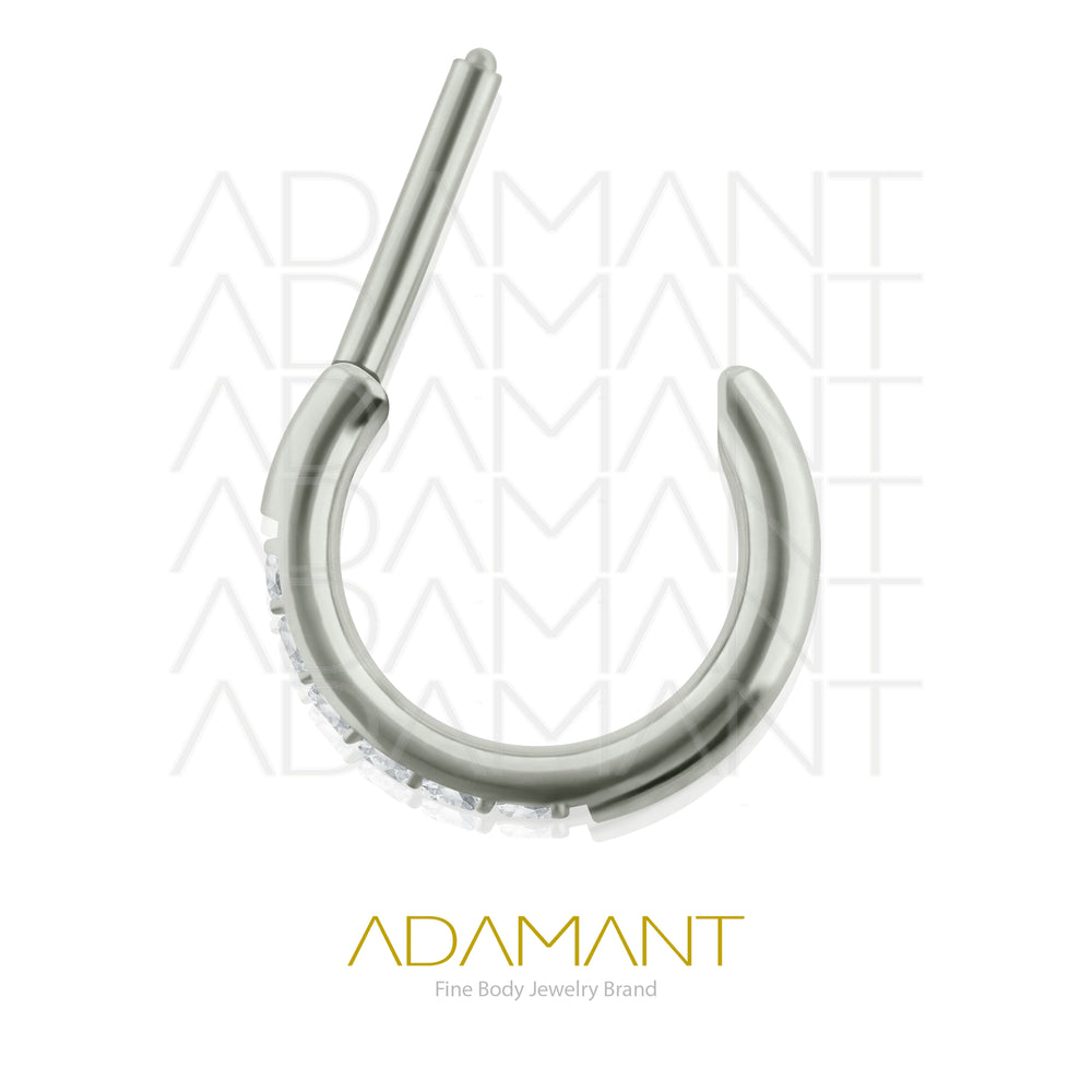 20g, Hinged Ring, Titanium, D shaped, Side Multijewelry, Prong set, Cubic Zirconia.