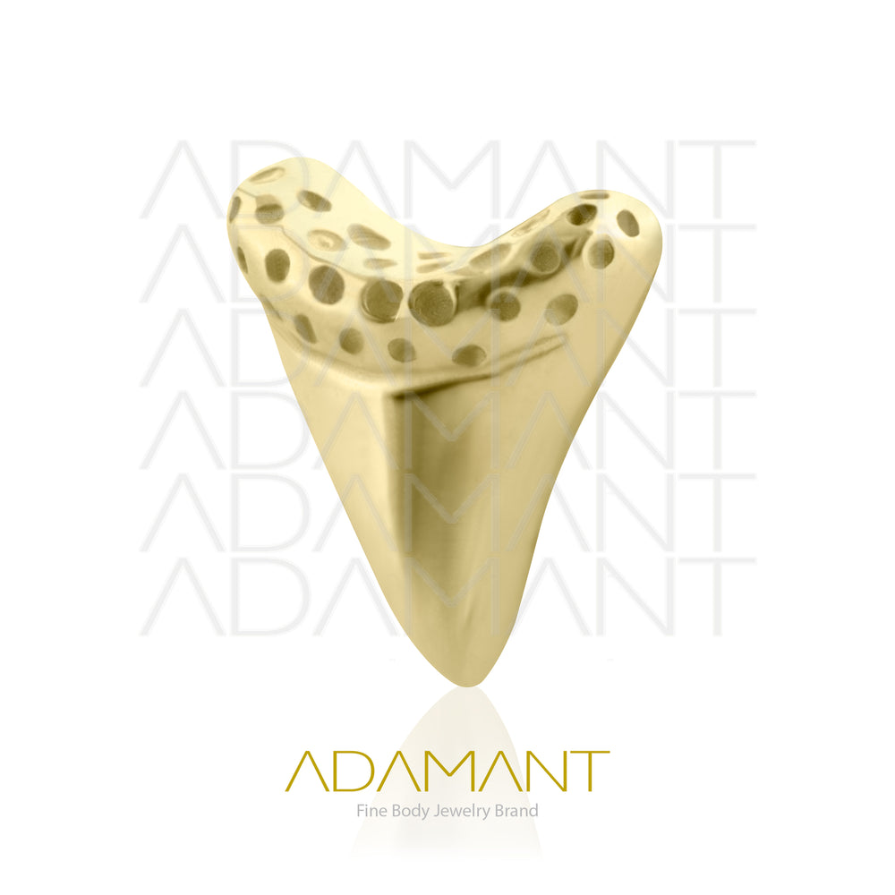 25g, Threadless, 14k Solid Gold Accessory, 4.8mm Pin Size, Tusk.