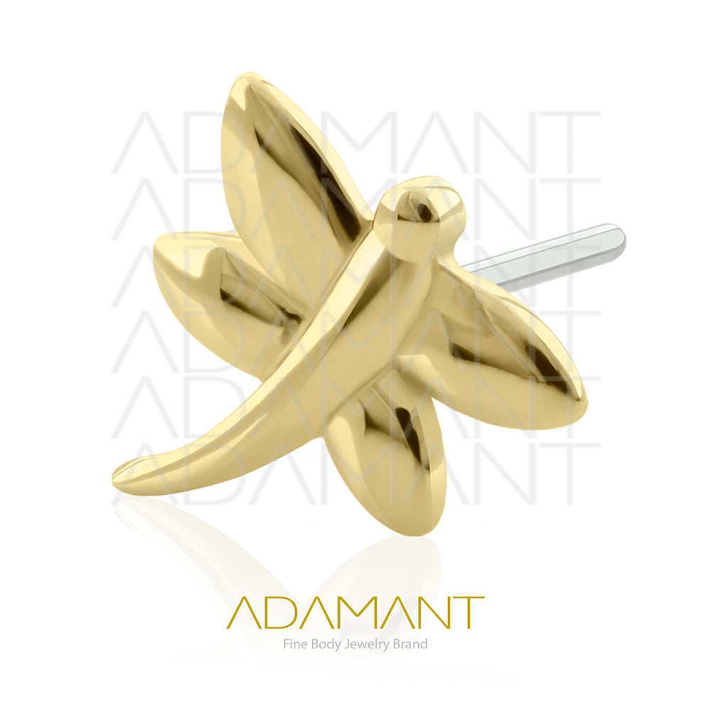 25g, Threadless, 14k Solid Gold Accessory, 4.8mm Pin Size, Dragon- Fly.
