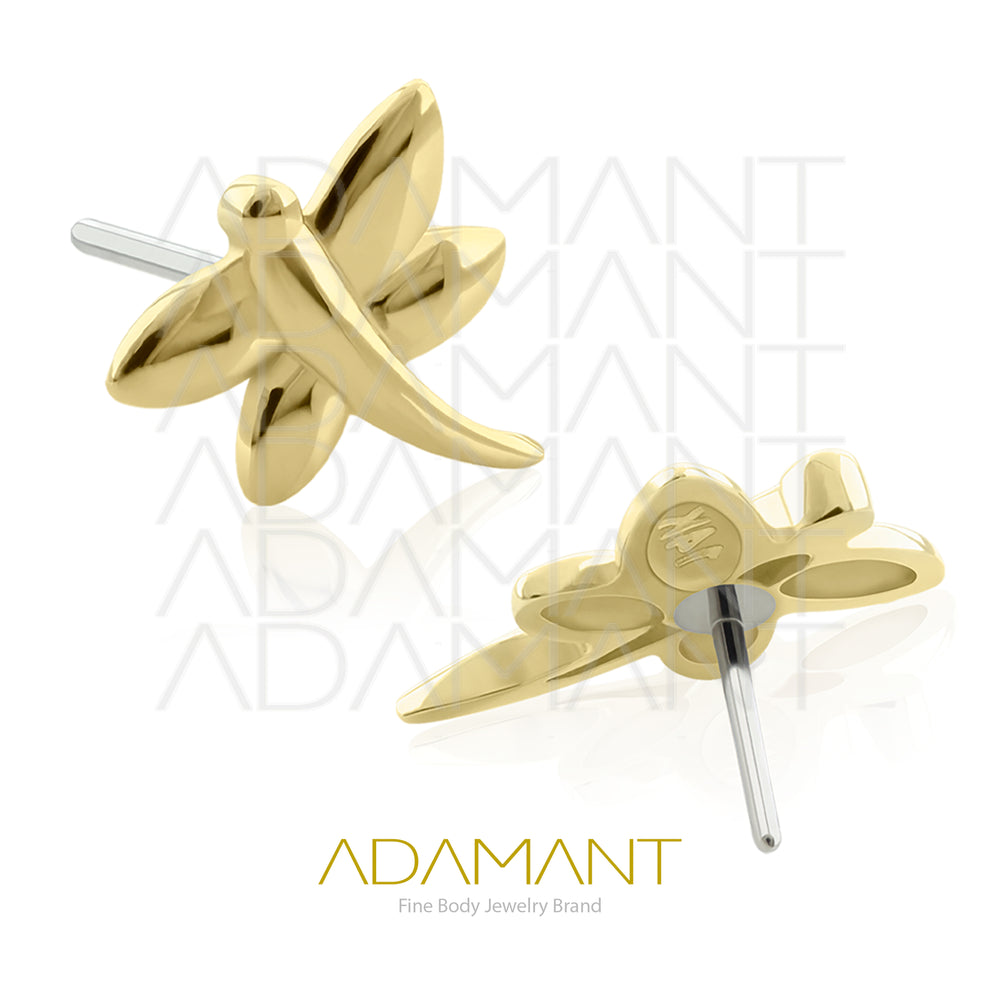 25g, Threadless, 14k Solid Gold Accessory, 4.8mm Pin Size, Dragon- Fly.