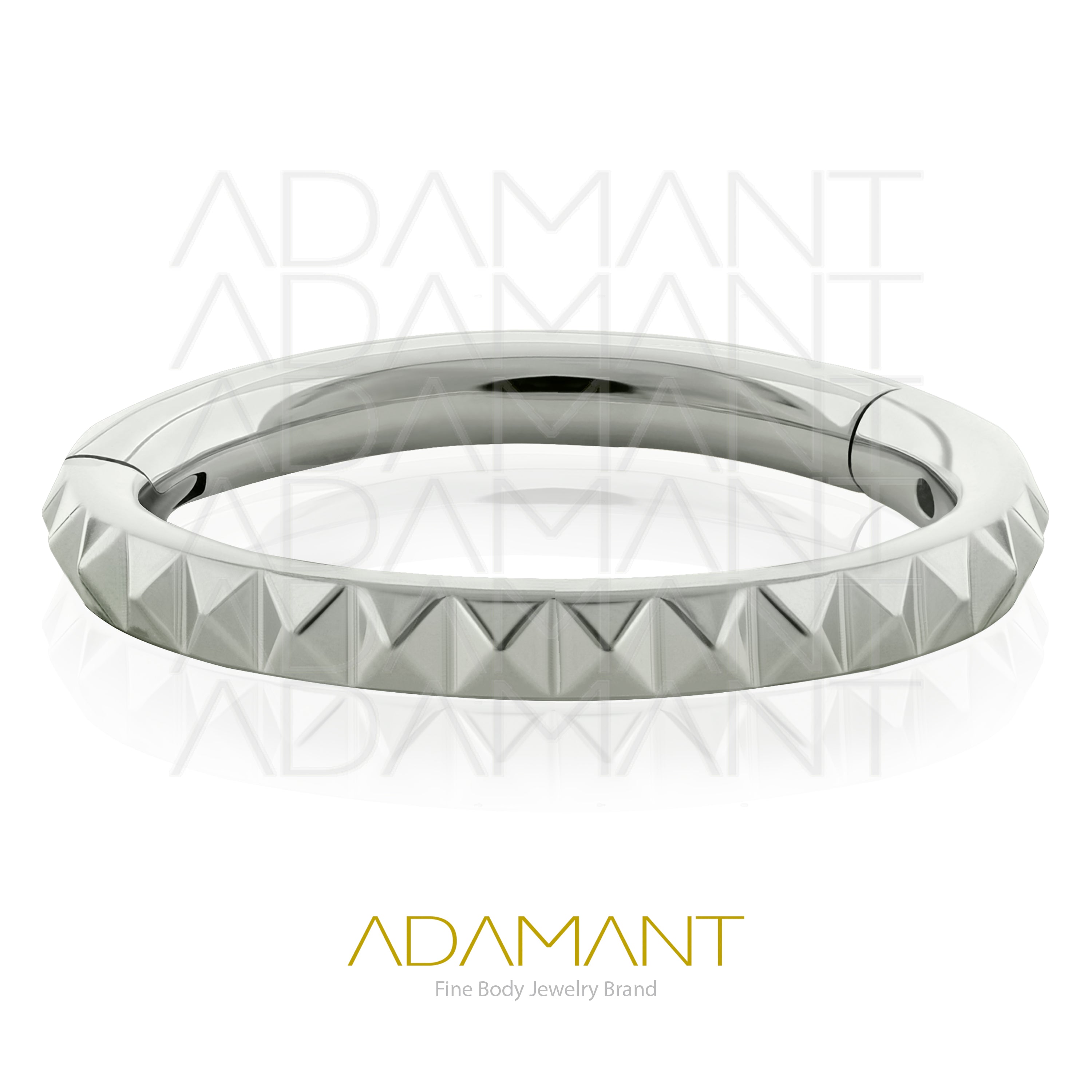 20g, Hinged Ring, Titanium, Side Pyramid Cuts.
