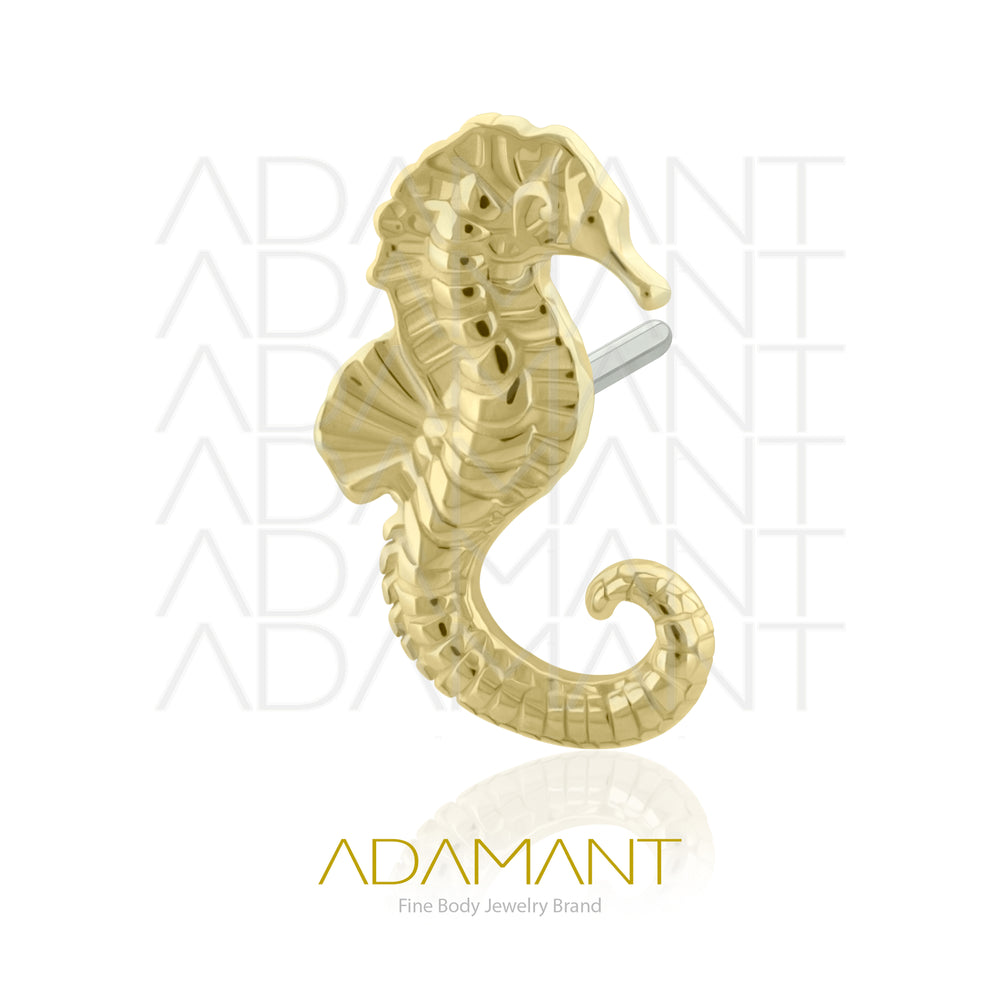 25g, Threadless, 14k Solid Gold Accessory, 4.8mm Pin Size, Seahorse.