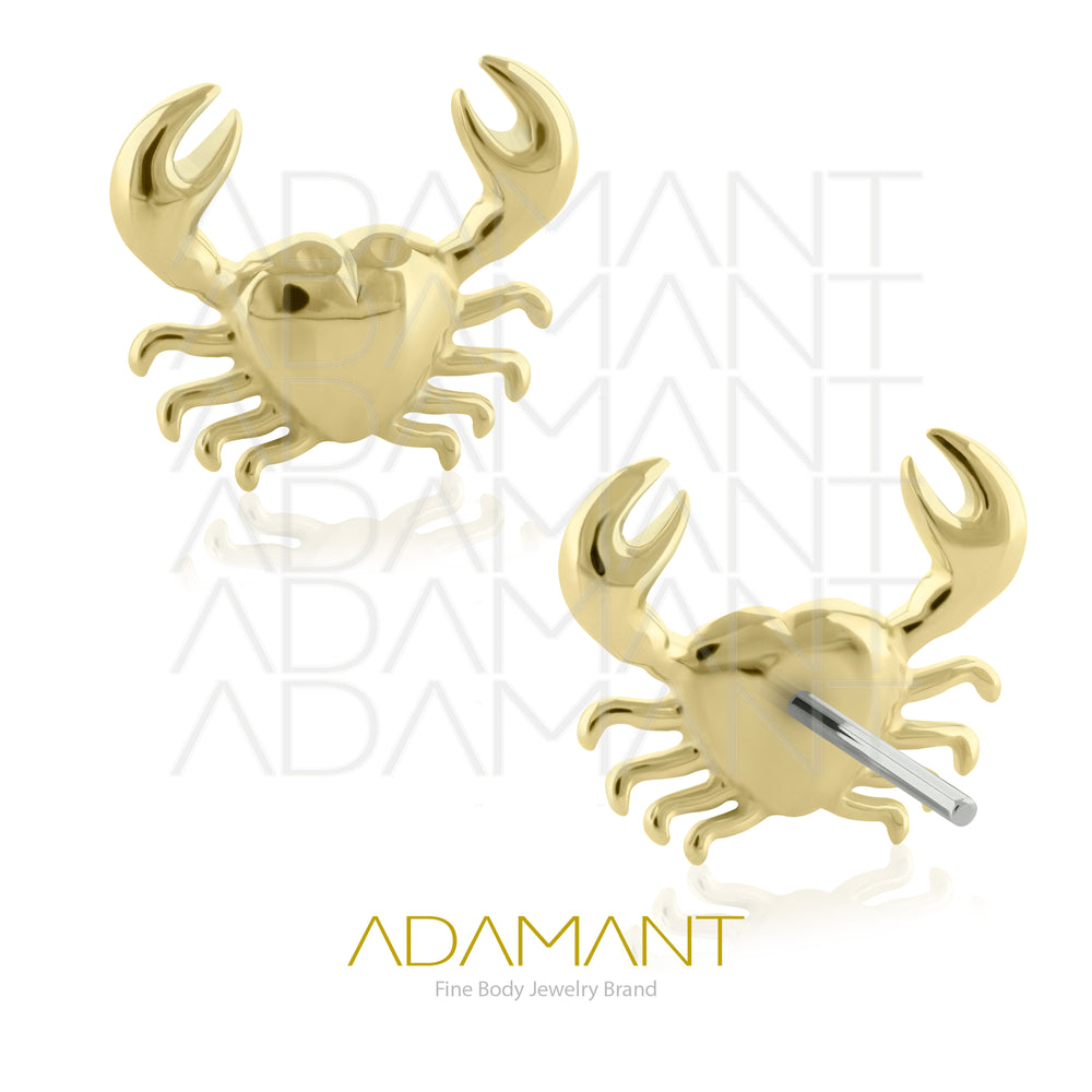 25g, Threadless, 14k Solid Gold Accessory, 4.8mm Pin Size, Crab.